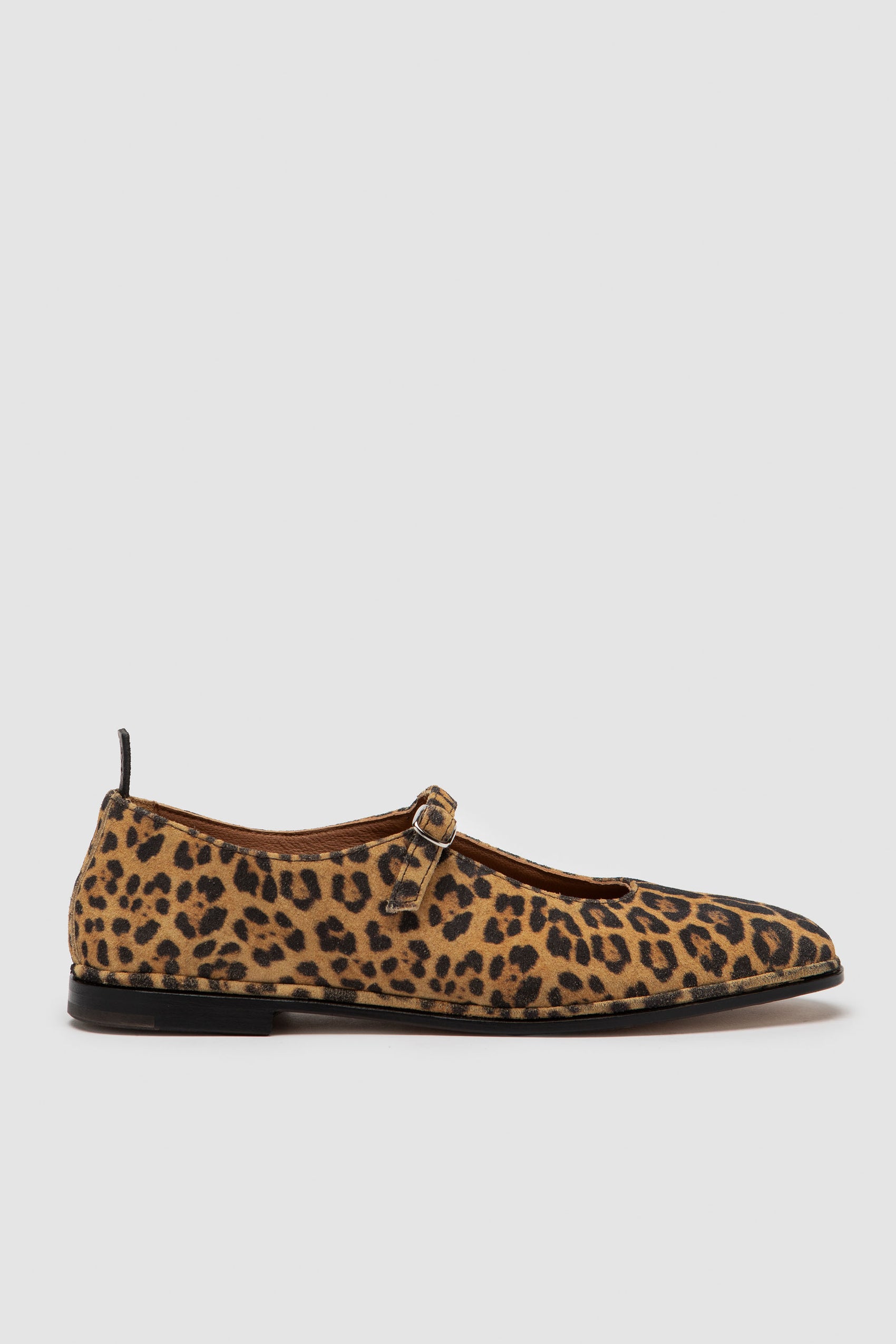 Penelope Animalier