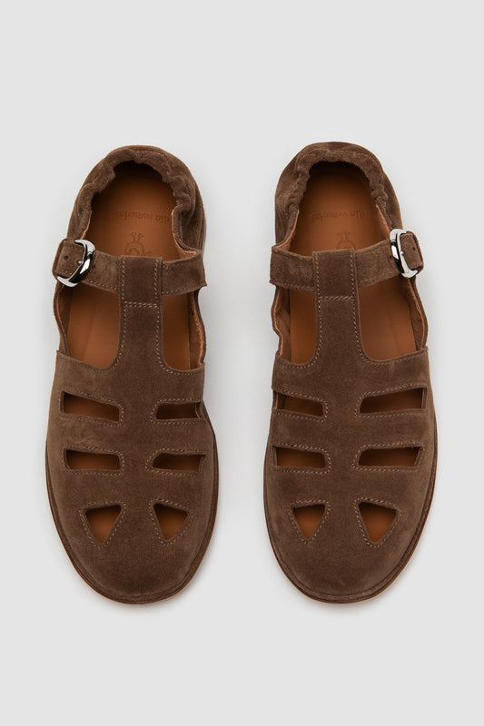 Ancilla daim marron foncé