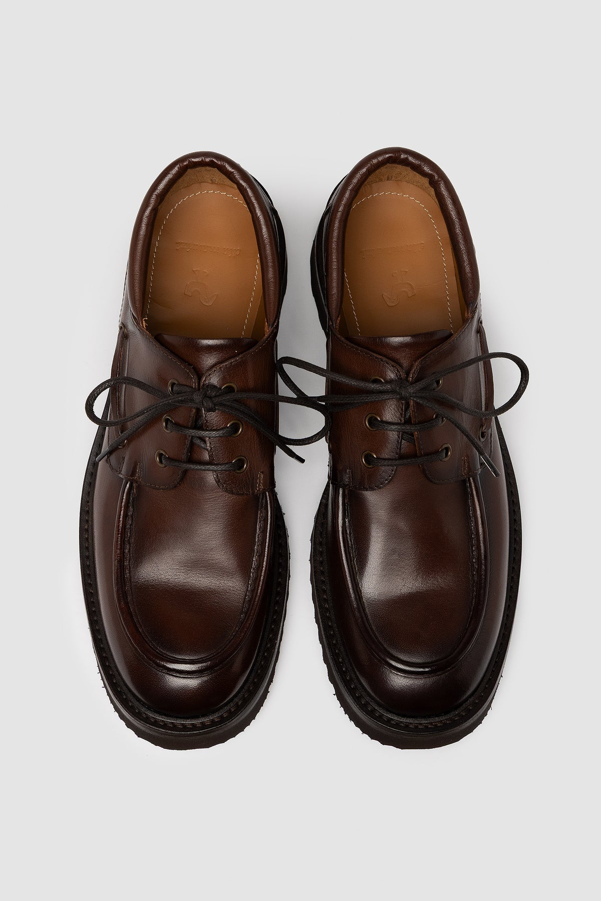 APOLLO MARRON