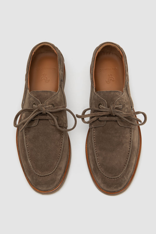 Dino Camoscio Marrone