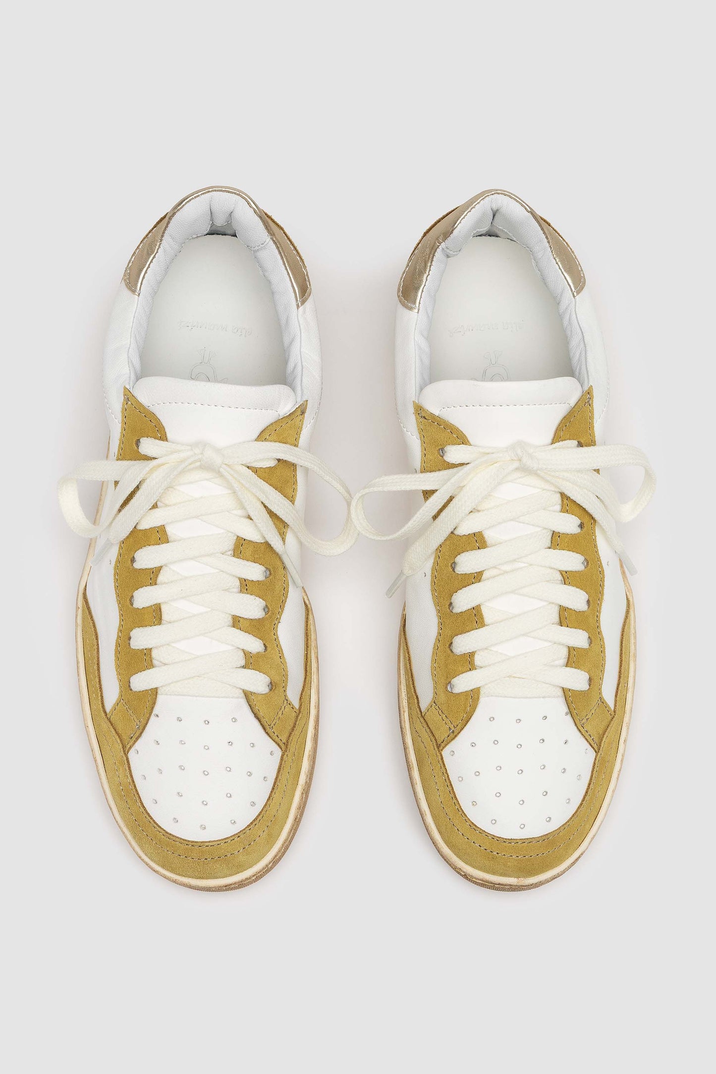 DONNA MUSTARD