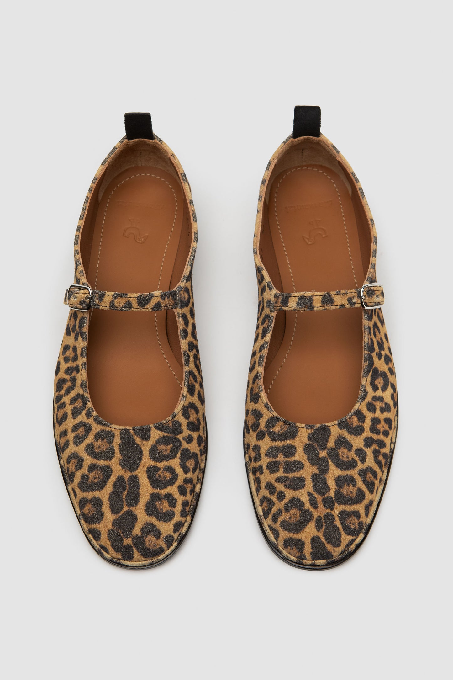 Penelope Animalier